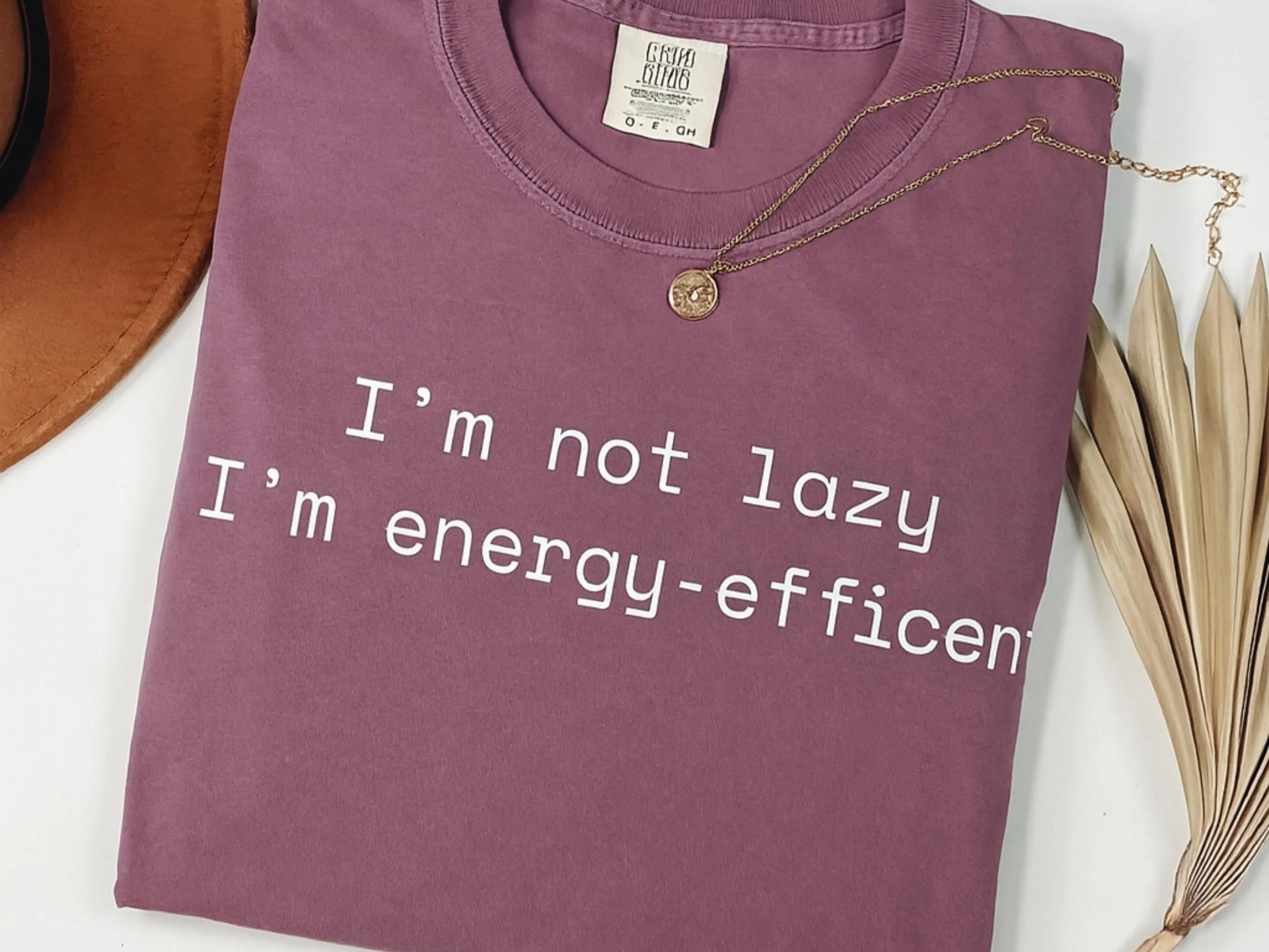 I'm Not Lazy I'm Energy Efficient Shirt | Funny Introvert Gift